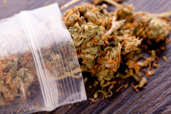 bag of dried marijuana, WeedWired Marijuana Legalization Blog